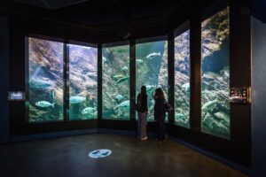 540952983_1198805182281306_6113644381838470521_n